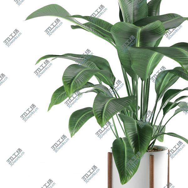 images/goods_img/20210312/3D Plant/3.jpg